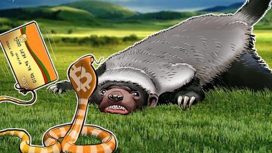 Photo of Bitcoin.com, Bitcoin Cash Visa Banka Kartı’nı Başlatacak